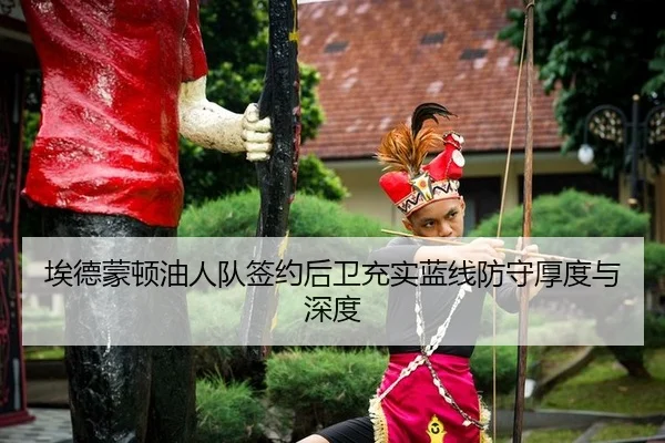 埃德蒙顿油人队签约后卫充实蓝线防守厚度与深度